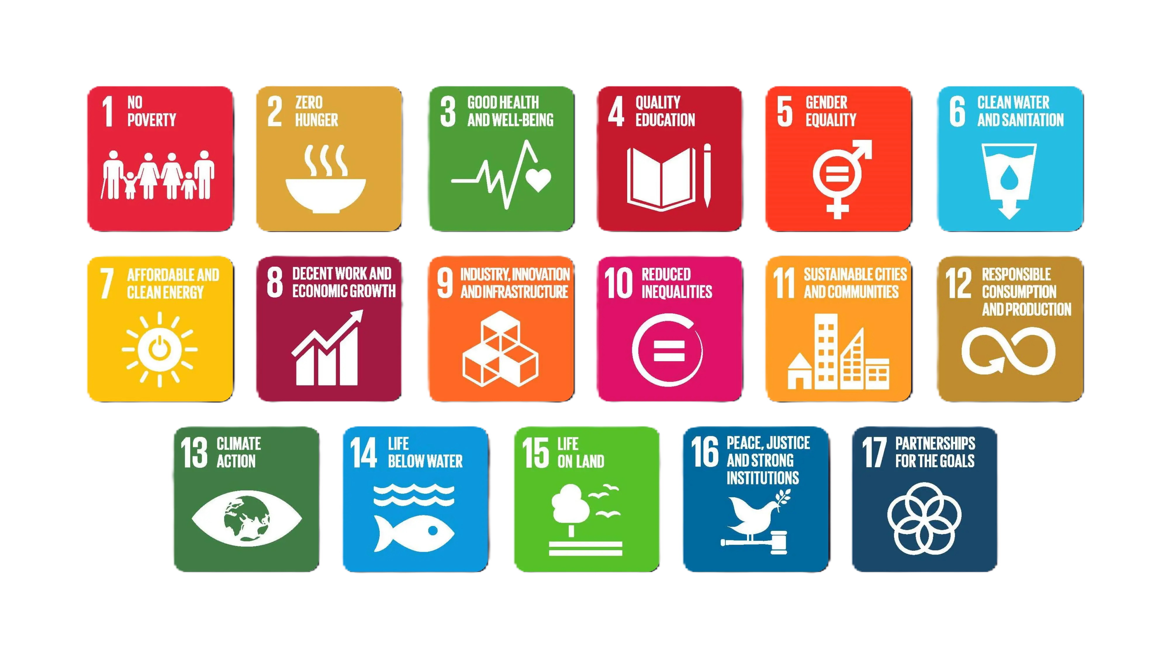 UN Sustainable Development Goals